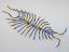 Beaded Centipede #102