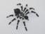 Beaded Spider #154 Beaded Spider #154