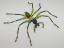 Beaded Spider #206 Beaded Spider #206