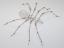 Beaded Spider #217