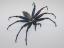 Beaded Spider #224 Beaded Spider #224