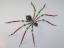 Red Color Style Christmas Spider