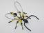 Beaded Wasp #201 Beaded Wasp #201